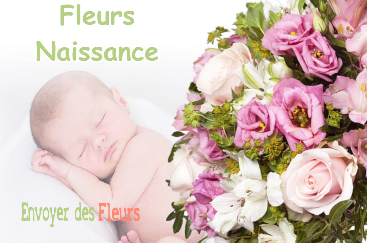 lIVRAISON FLEURS NAISSANCE à MOIRON